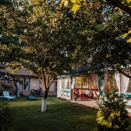 ホテル Casa Badea ムリギオル エクステリア 写真