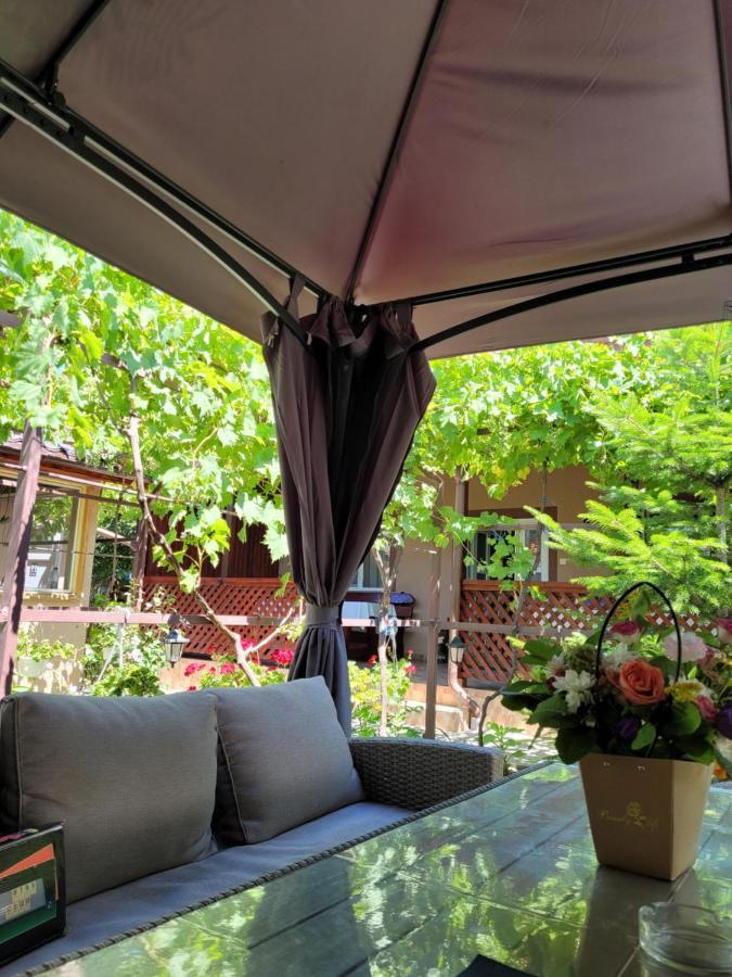 ホテル Casa Badea ムリギオル エクステリア 写真