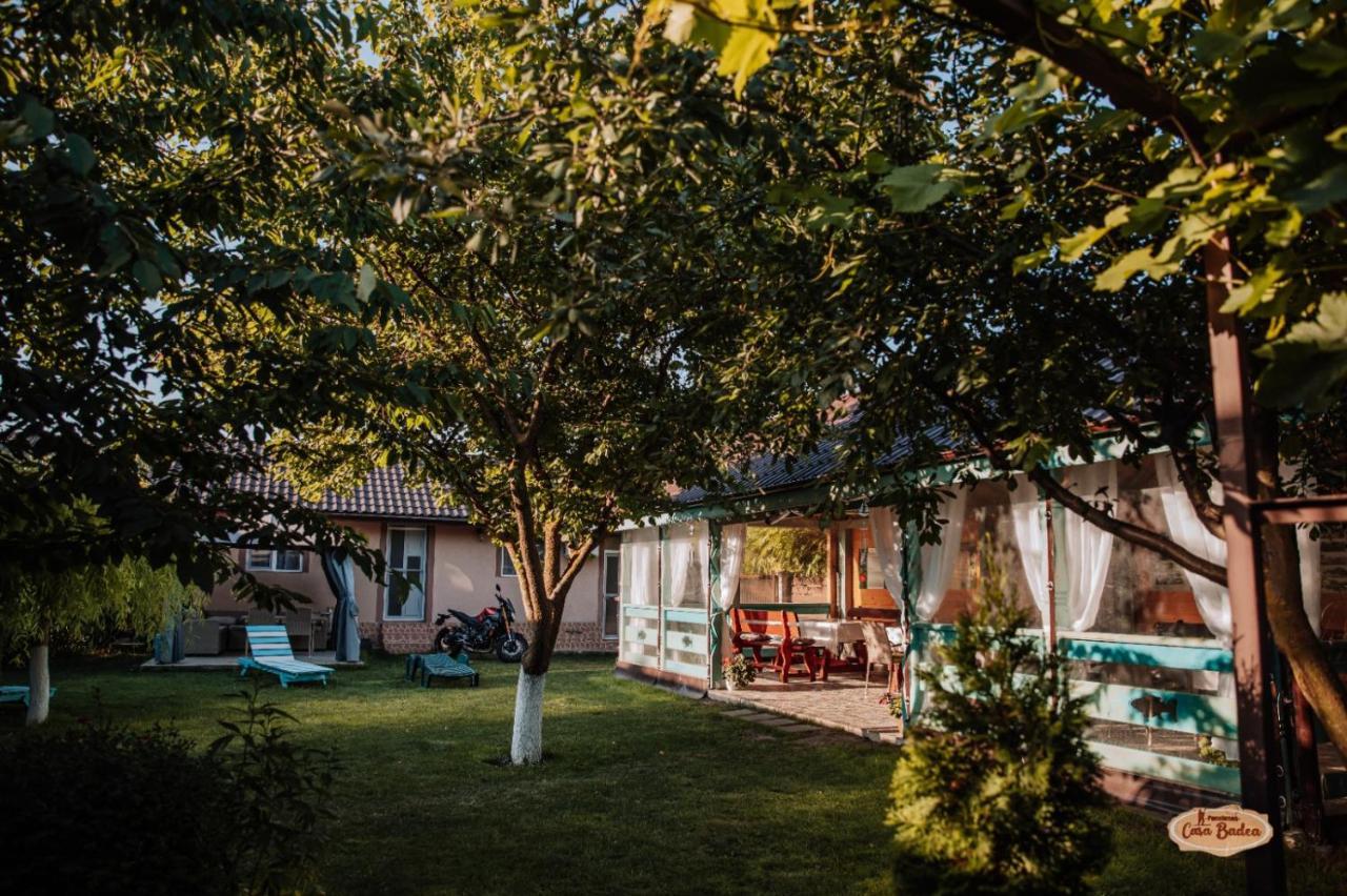 ホテル Casa Badea ムリギオル エクステリア 写真