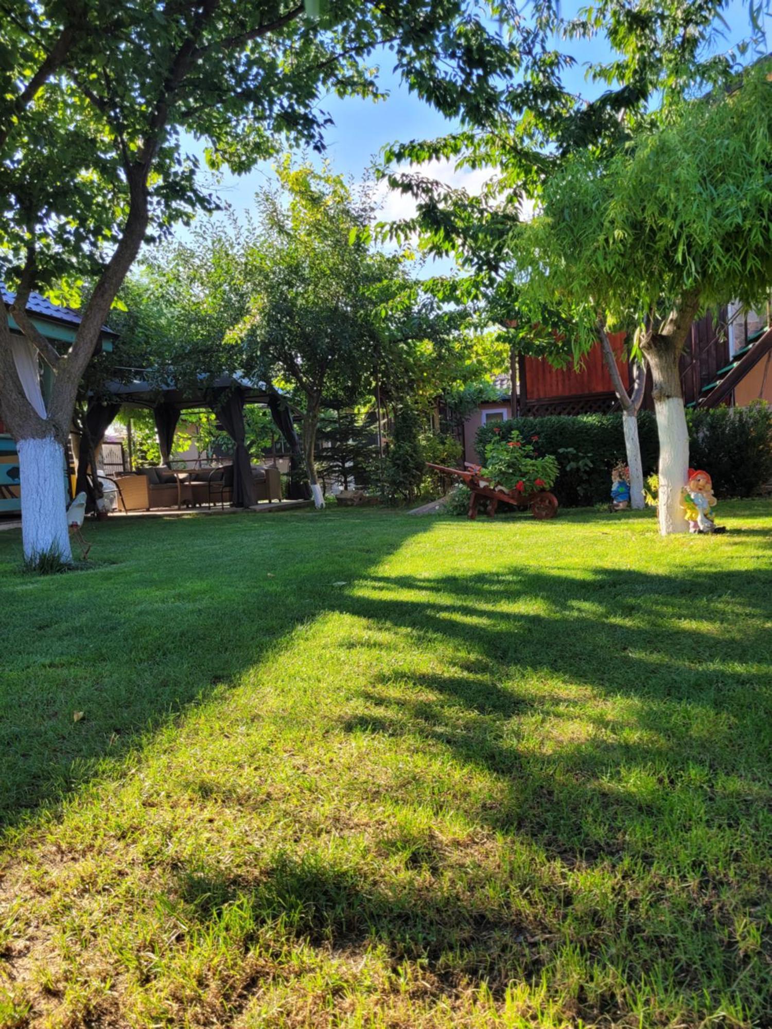 ホテル Casa Badea ムリギオル エクステリア 写真