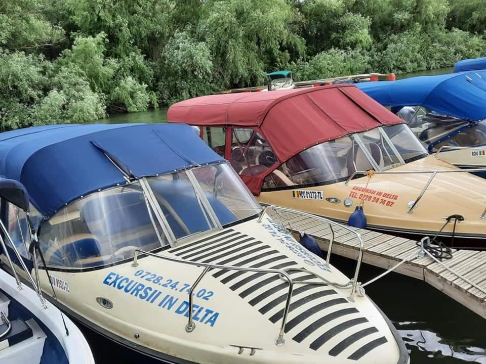 ホテル Casa Badea ムリギオル エクステリア 写真